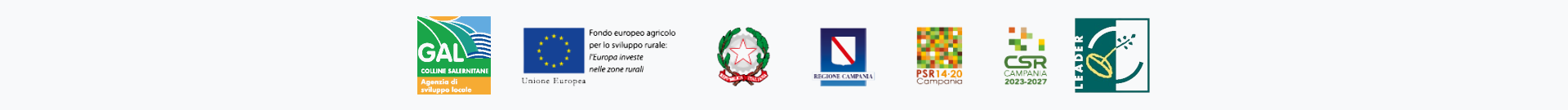Loghi PSR e partner